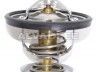 Audi 100 1976-1983 thermostat