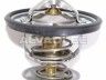 Audi 100 1976-1983 thermostat