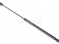 Renault Megane 2002-2009 LUUGI/KAPOTI AMORT
