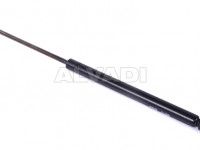 Hyundai Santa Fe 2000-2006 LUUGI/KAPOTI AMORT