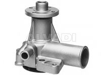 Ford Granada 1977-1985 water pump