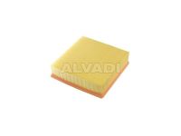 Ford Transit Connect (Tourneo Connect) 2002-2013 air filter