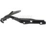 Dodge Ram 2008-2024 KAPOTI HING