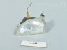Ford Focus Fog lamp, left Part code: 1346660
Body type: Sedaan
Additional...
