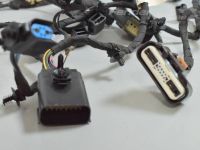 Ford Focus Wiring set for engine (1.0 gasoline) Part code: 2380155 ; JX6T12C508XBD
Body type: U...